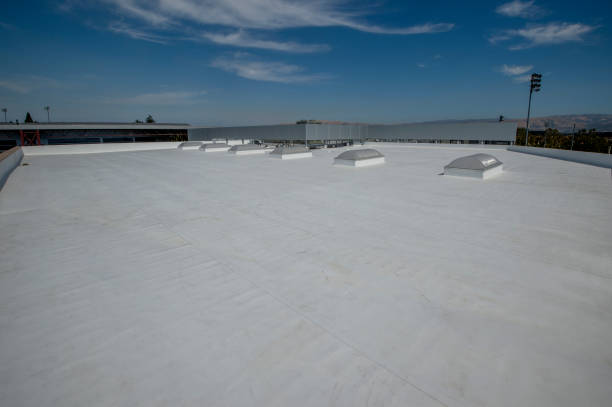 Best Roof Moss and Algae Removal  in Oakland, MD