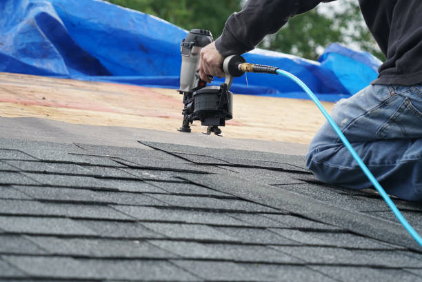 Best Roof Leak Repair  in Oakland, MD